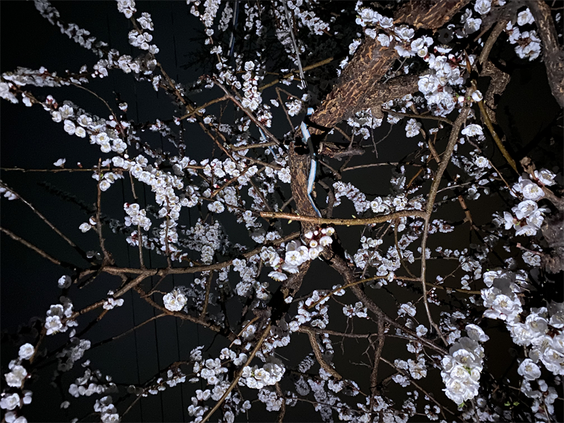 文章01