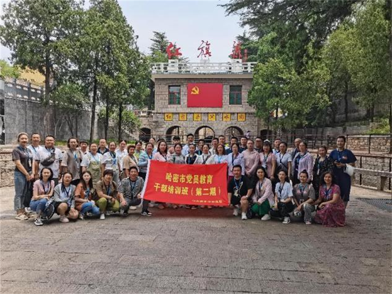 图片15